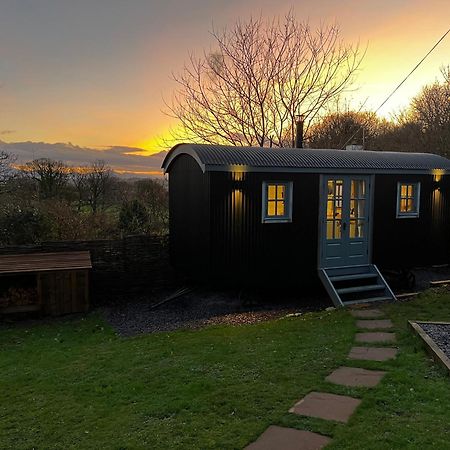 Mountain View Shepherd'S Hut For 2 Adults, 1 Dog Villa Llangoed Ngoại thất bức ảnh